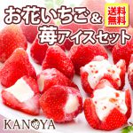 [:ja]お中元 アイス ギフト 【 送料無料 】お花のようないちごアイス＆苺アイスクリームセット　(短冊のし)　内祝い 出産内祝い 快気内祝い 結婚祝い お礼 お返し お祝い ギフト 贈り物 ご挨拶[:]