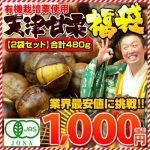[:ja]栗 甘栗 スイーツ 和菓子 有機栽培 天津甘栗480g(240g×2袋) 80gずつ小袋入り 秋[:]