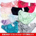 トリコットショーツ 福袋 レディース 下着 パンツ パンティ 10枚セット お得セット 光沢 つるつる 【エルドシック】
