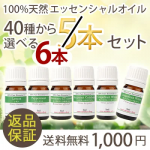 ＼自信があるから返品保証付！／40種から選べる 精油 5ml 5→6本set　送料無料・100%ピュア（アロマオイル エッセンシャルオイル　精油　セット）アロマ ギフト 春 ラベンダー【代金引換不可】【RCP】