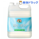 緑の魔女 ランドリー 業務用(5L)【緑の魔女】