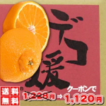 ★初春開運祈願★2種類の選べるクーポンで1,120円★総合ランキング第1位！【1箱より送料無料】★4年連続⇒年間ランキング受賞商品・赤字覚悟！完熟デコ媛（デコポン）2箱ご注文で1箱増量・3箱ご注文で2箱増量サービス・訳ありデコポン・福袋