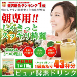 半額 クーポン ピュア酵素ドリンク 110g 43杯分 1杯約32.2円 送料無料 酵素 ファスティング ダイエット 酵素ドリンク 粉末 酵素配合飲料 断食 酵素 fast diet 短期断食 クエン酸　ダイエットサプリ ファスティングドリンク 楽天 お守りサプリ