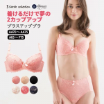 （サラコレクション）Sarah collection 瞬間美的ブラ（プラスアップ/小胸・ミディさん用） ブラジャー / 育乳 補正下着 補正 脇肉 段差 脇高 貧乳 下着 ランジェリー REB1002 【初回交換0円】 新元号 令和 平成